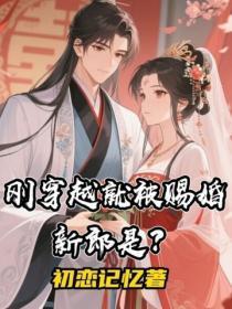 刚穿越就被赐婚新郎是?